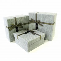 Фортуна (сіра) №2