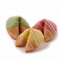 Фортуна (сіра) №1